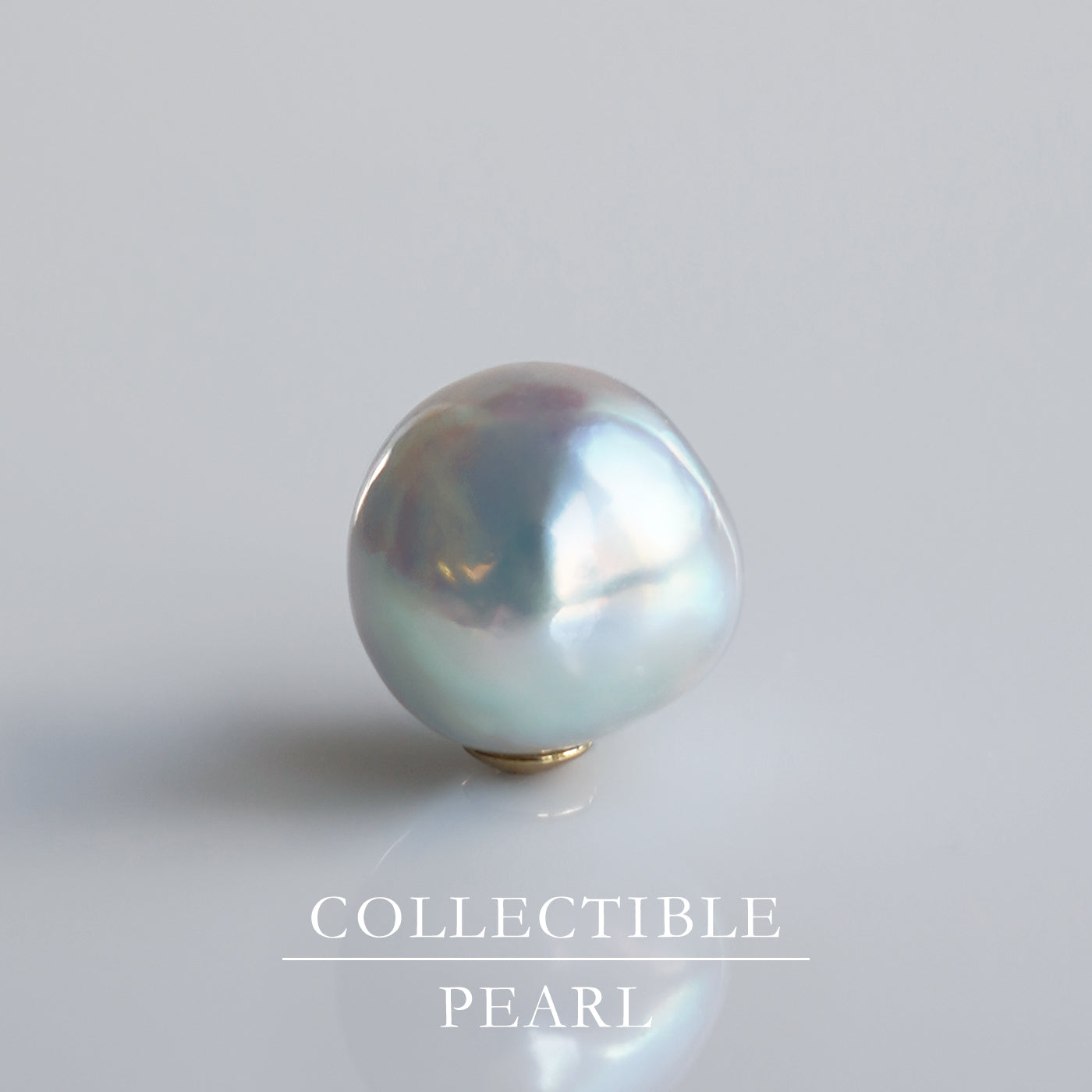 【COLLECTIBLE】"Umihotaru" Akoya Pearl (No. SU58240)