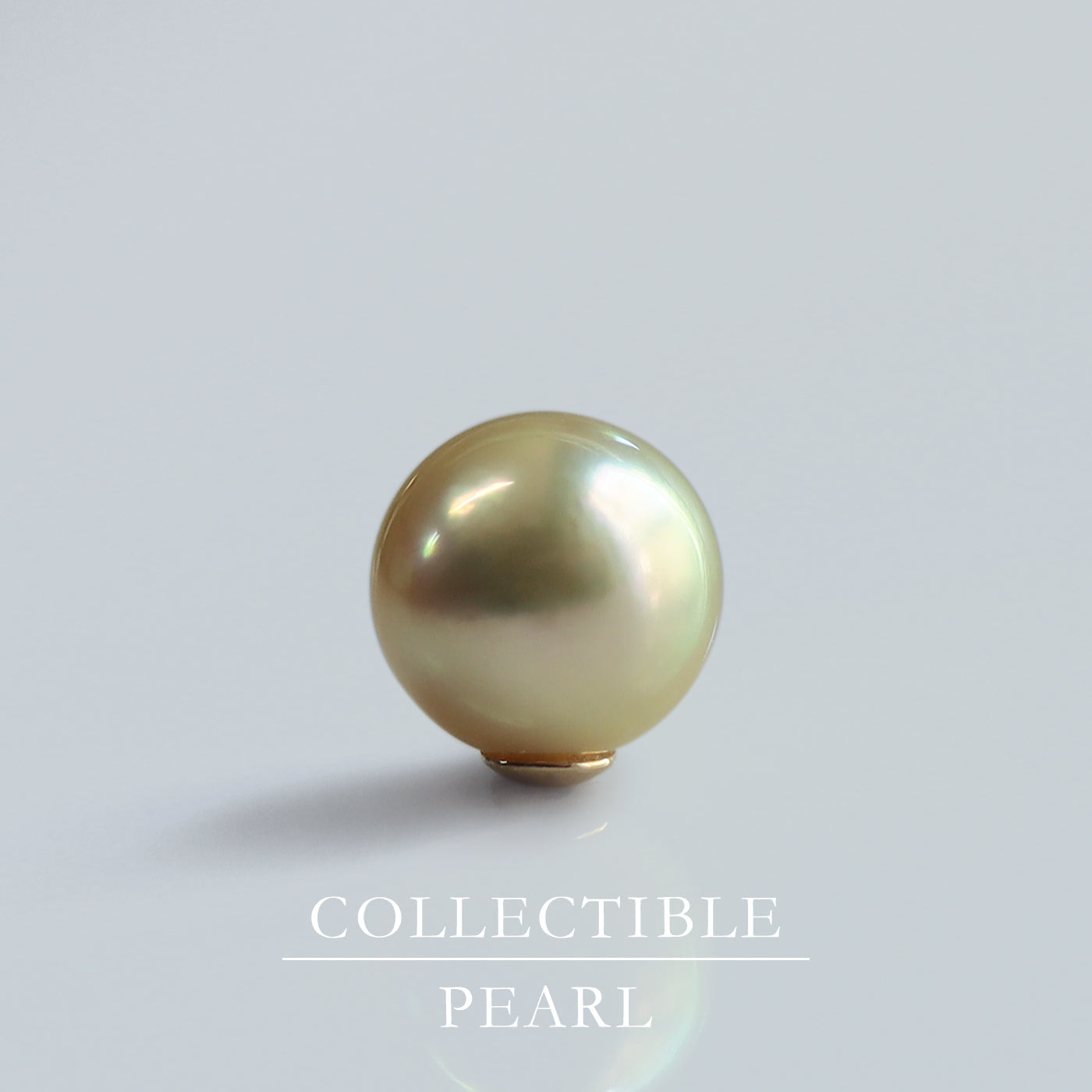 【COLLECTIBLE】Akoya Pearl (No. CA1778)