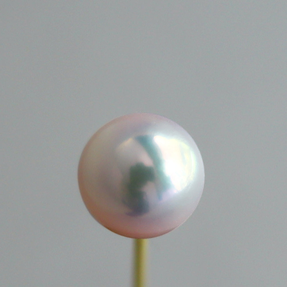 【COLLECTIBLE】Akoya Pearl (No. CA171)