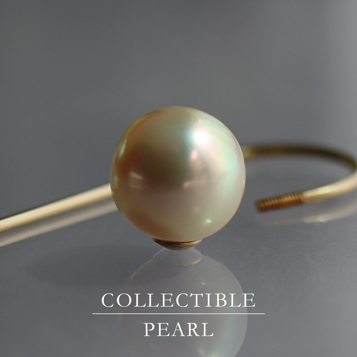 【COLLECTIBLE】Akoya Pearl (No. CA1815)