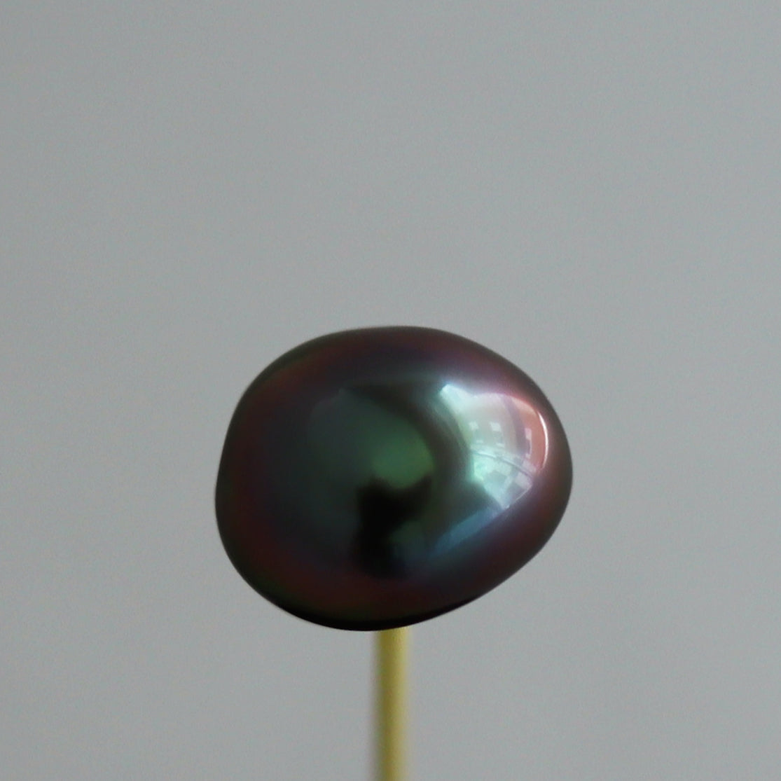 【COLLECTIBLE】Tahitian Keshi Pearl (No. CT676)