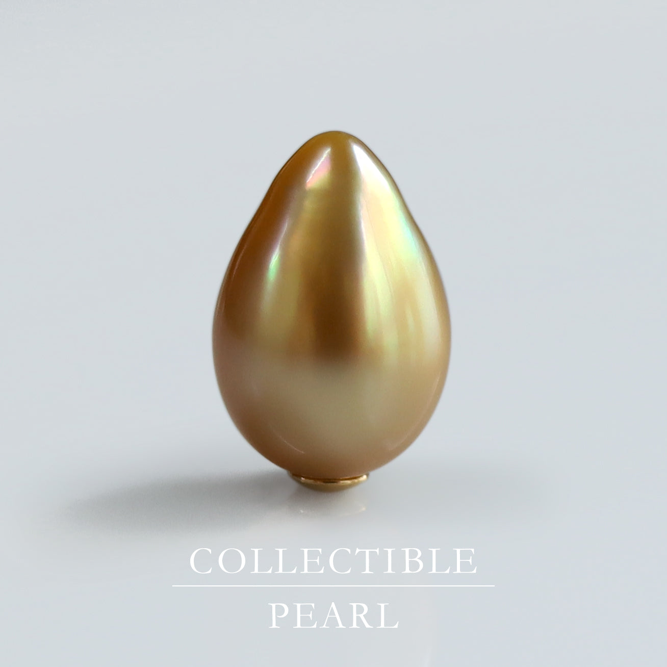 【COLLECTIBLE】Golden South Sea Keshi Pearl (No. CG68113)