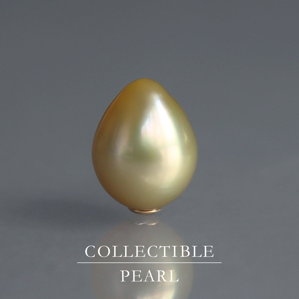 【COLLECTIBLE】Golden South Sea Pearl (No. CG3935)