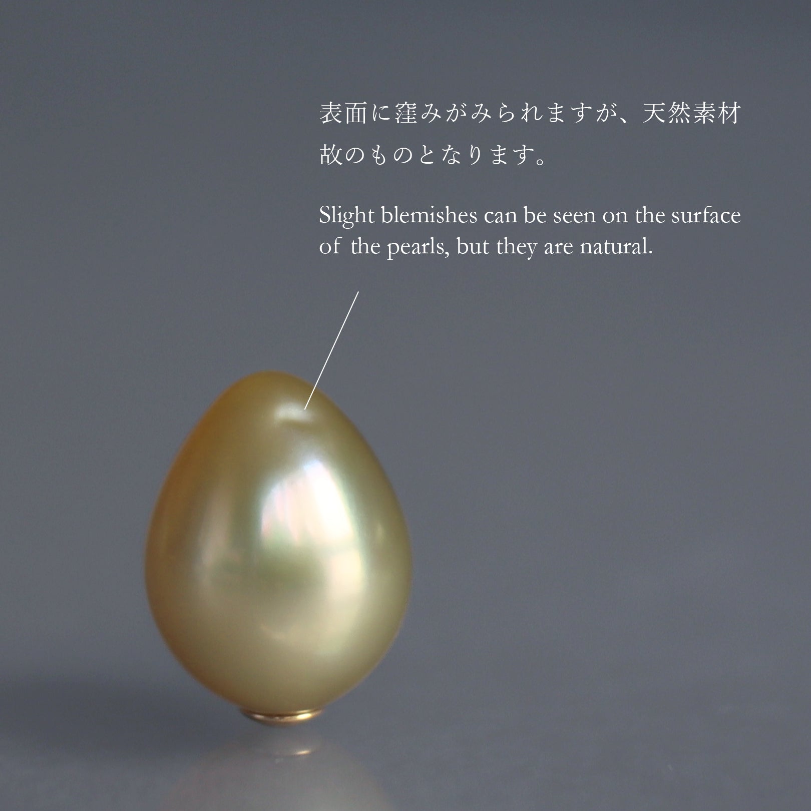 【COLLECTIBLE】Golden South Sea Pearl (No. CG3935)