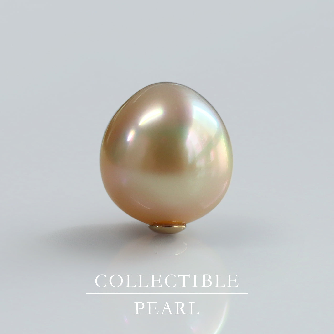 【COLLECTIBLE】Golden South Sea Pearl (No. CG310112)