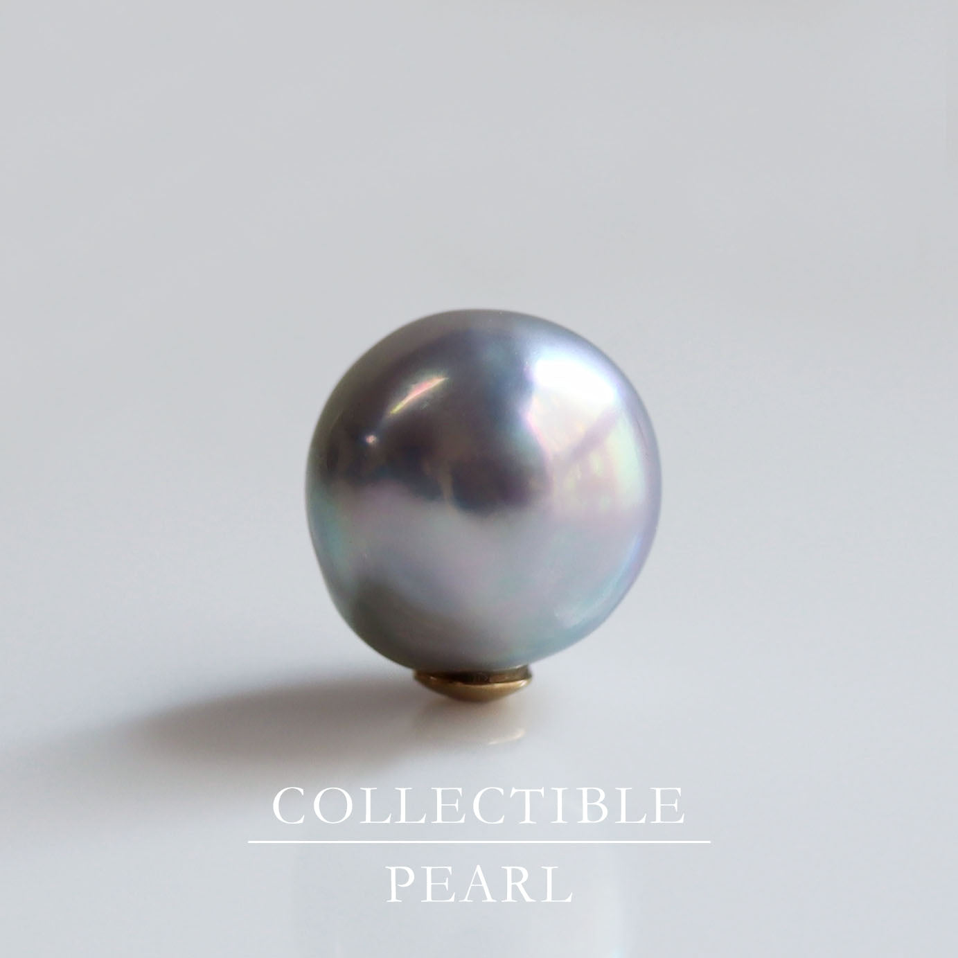 【COLLECTIBLE】"Umihotaru" Akoya Pearl (No. CA5866)