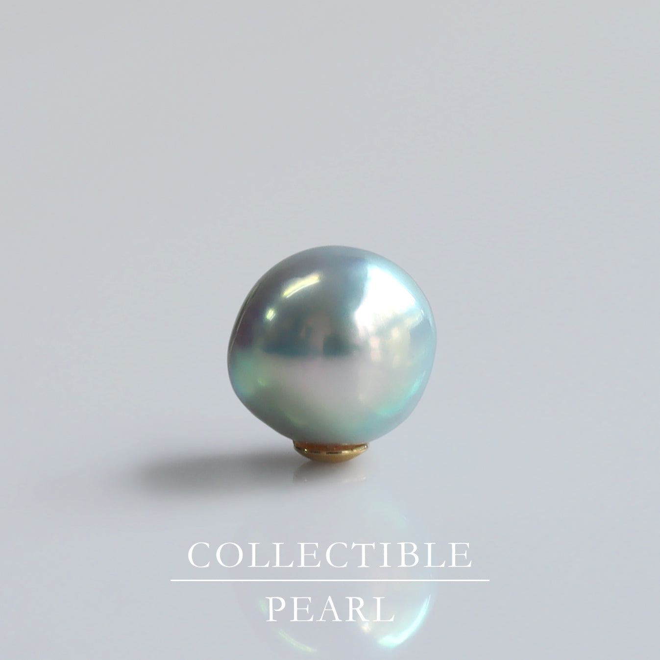 【COLLECTIBLE】"Umihotaru" Akoya Pearl (No. CA58115)