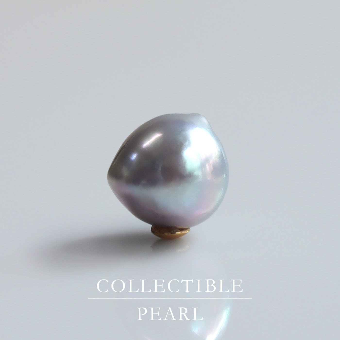 【COLLECTIBLE】"Umihotaru" Akoya Pearl (No. CA58116)