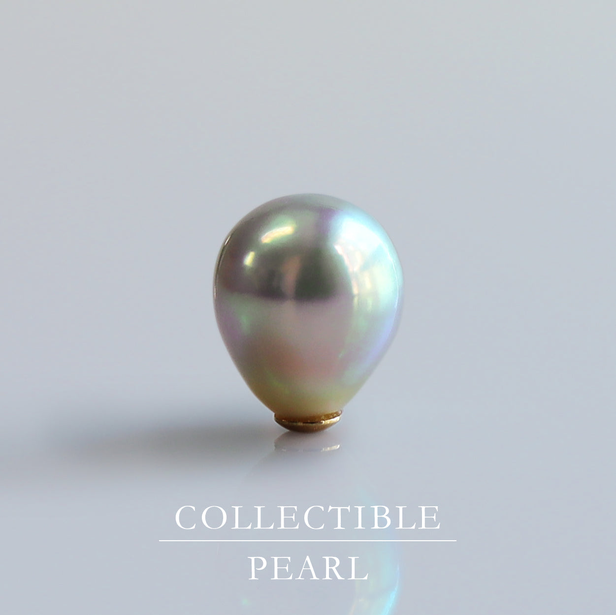 【COLLECTIBLE】"Umihotaru" Akoya Pearl (No. CA58126)