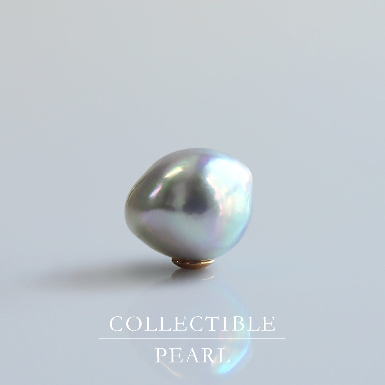 【COLLECTIBLE】"Umihotaru" Akoya Pearl (No. CA58122)