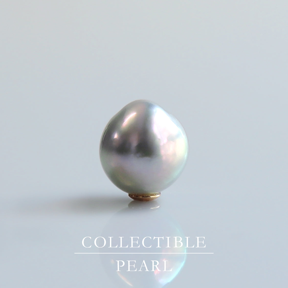 【COLLECTIBLE】"Umihotaru" Akoya Pearl (No. CA58121)