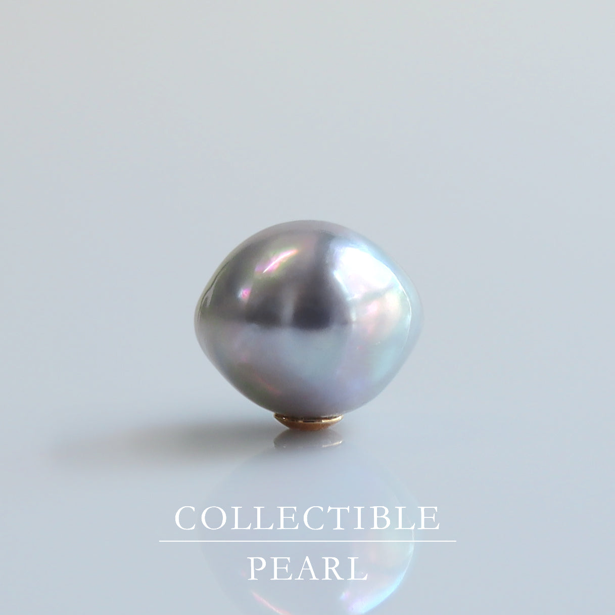 【COLLECTIBLE】"Umihotaru" Akoya Pearl (No. CA58123)