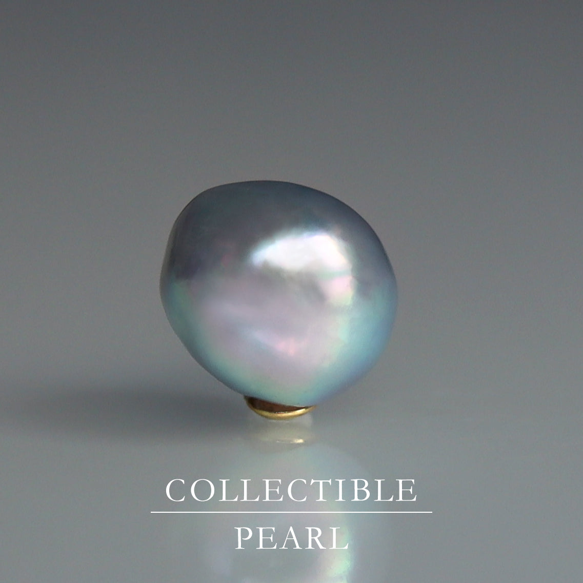 【COLLECTIBLE】"Umihotaru" Akoya Pearl (No. CA5840)