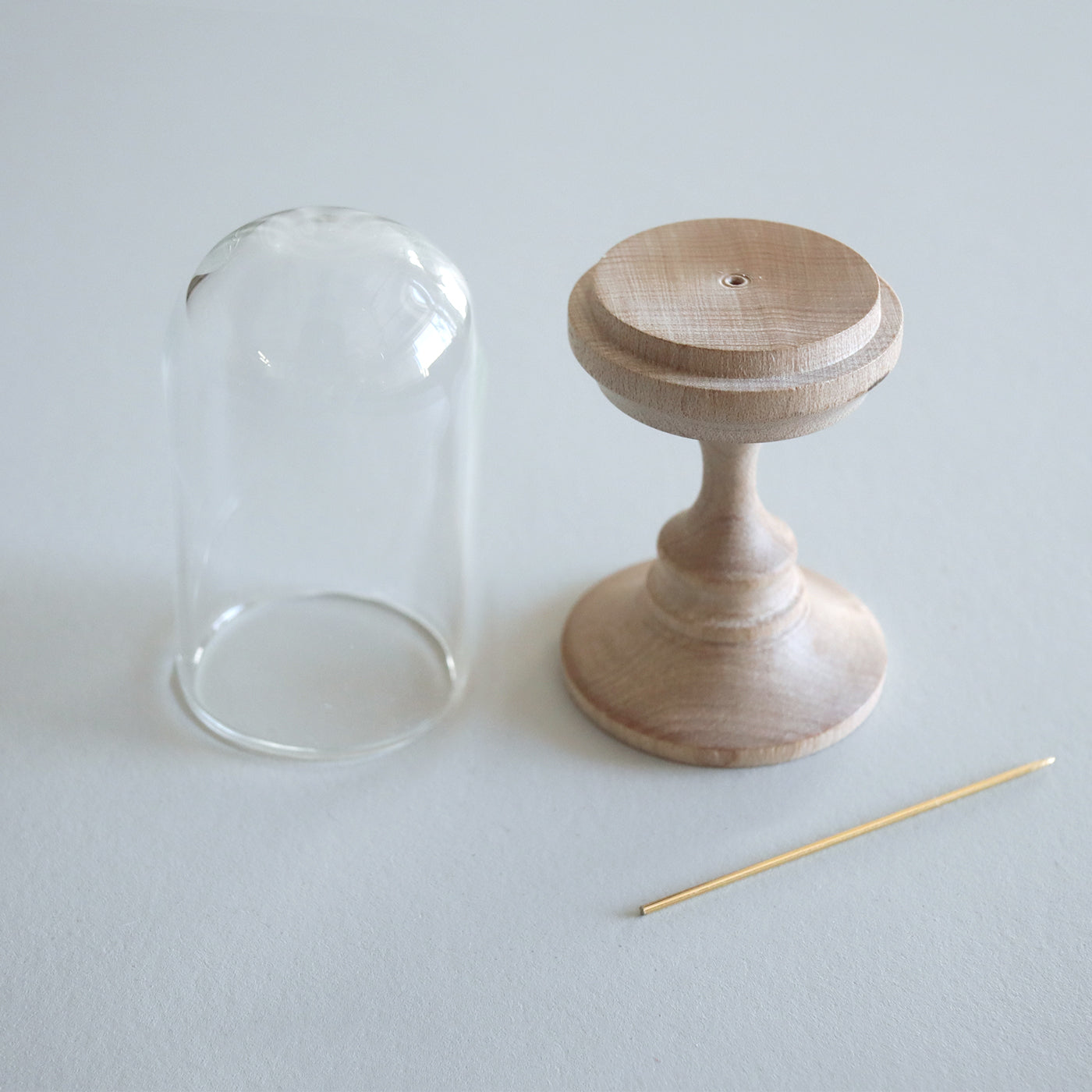 【COLLECTIBLE】星加清人 楓の標本スタンド- Natural