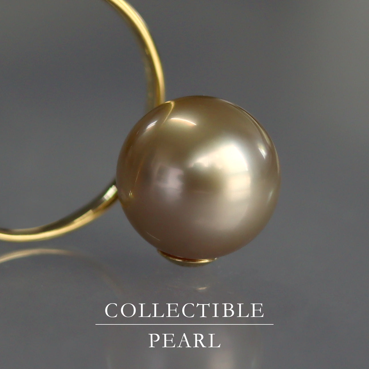【COLLECTIBLE】Golden South Sea Pearl (No. CG1107)