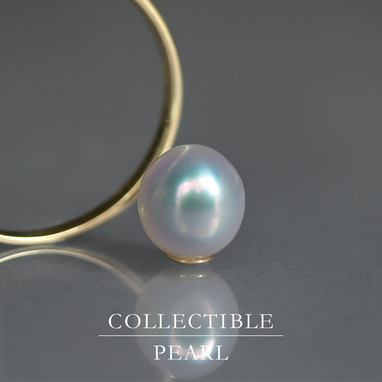【COLLECTIBLE】South Sea Pearl (No. CS6613)
