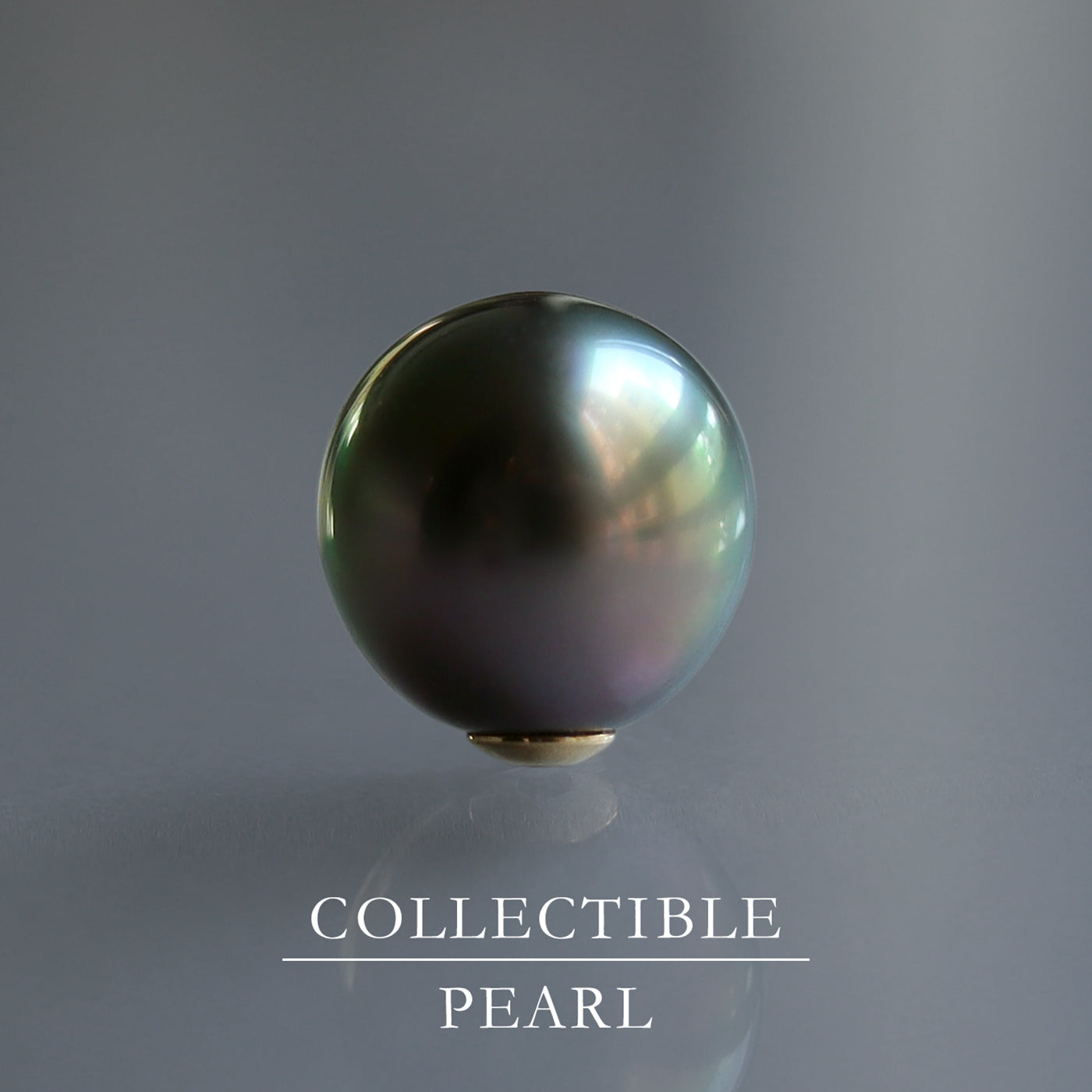 【COLLECTIBLE】Tahitian Pearl (CT2839)