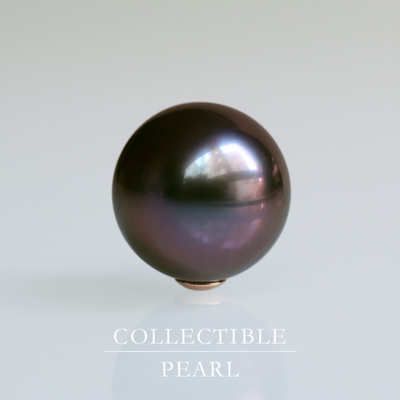【COLLECTIBLE】Tahitian Pearl (No. CT11058)