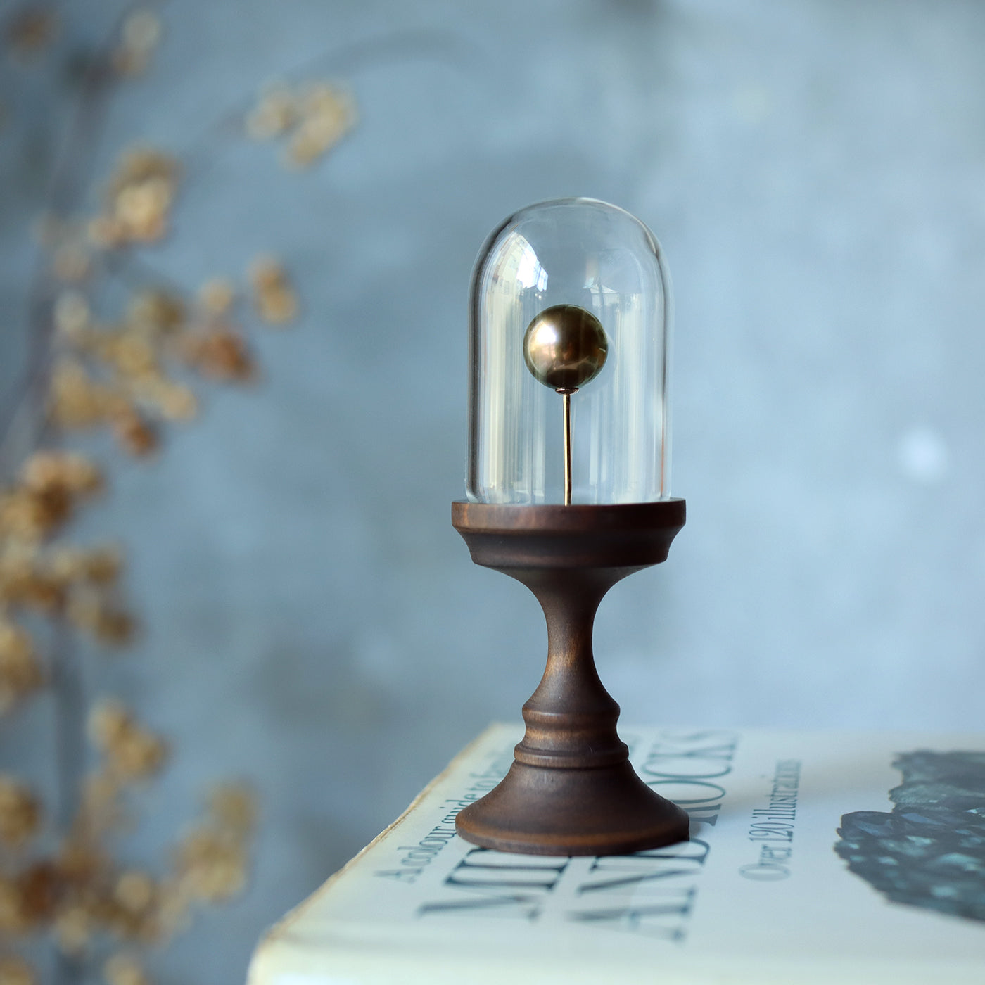 【COLLECTIBLE】Tahitian Pearl (CT11059)