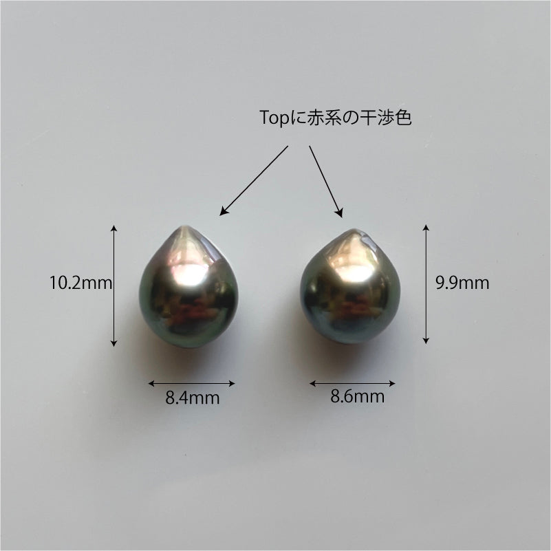 Mochidasama) Eighth Note Earrings - Drop Tahitian