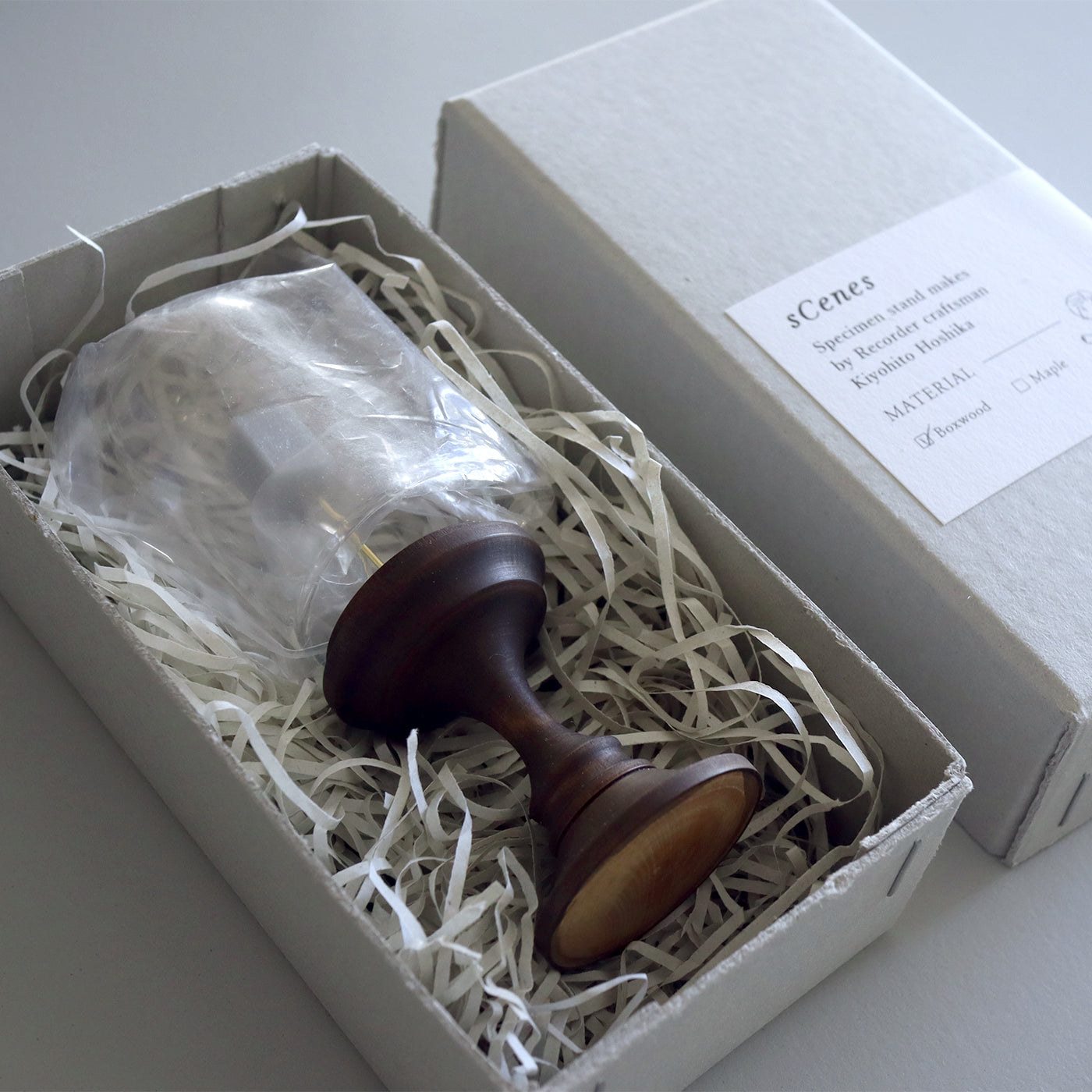 【ご予約商品】COLLECTIBLE - 星加清人 ツゲの標本スタンド