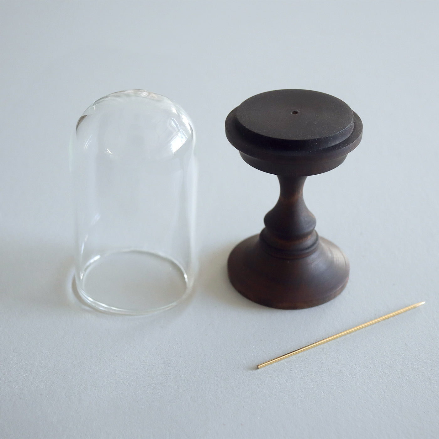 【ご予約商品】COLLECTIBLE - 星加清人 ツゲの標本スタンド