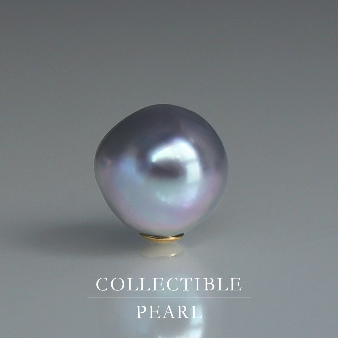 【COLLECTIBLE】"Umihotaru" Akoya Pearl (No. CA5841)