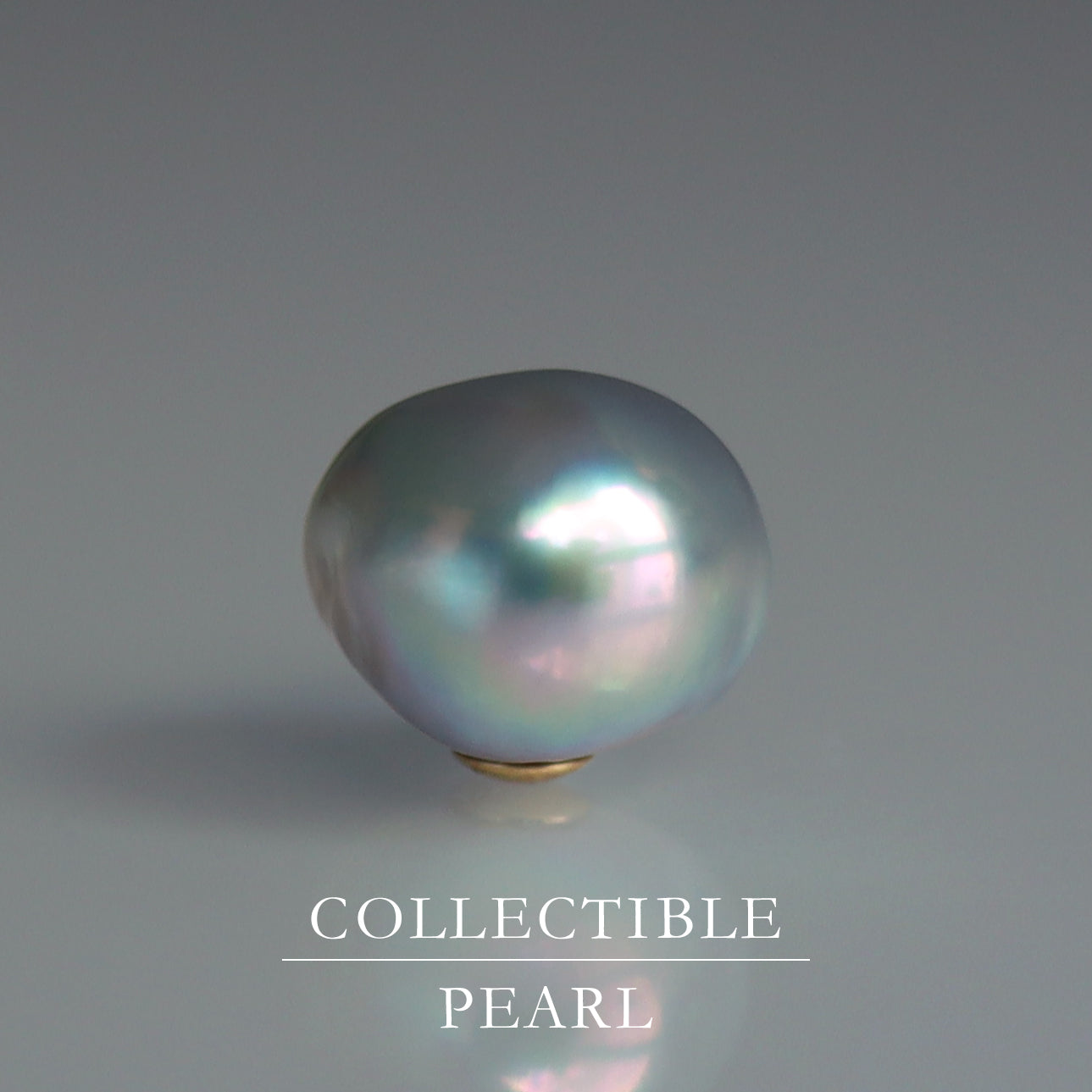 【COLLECTIBLE】"Umihotaru" Akoya Pearl (No. CA5842)