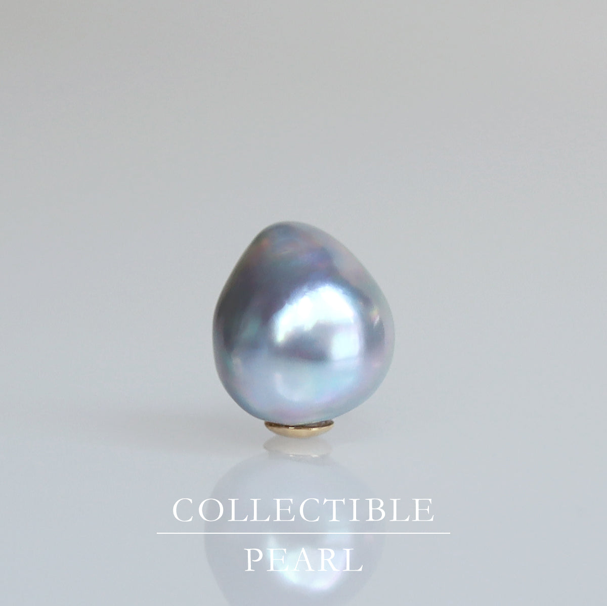 【COLLECTIBLE】"Umihotaru" Akoya Pearl (No. CA5748)