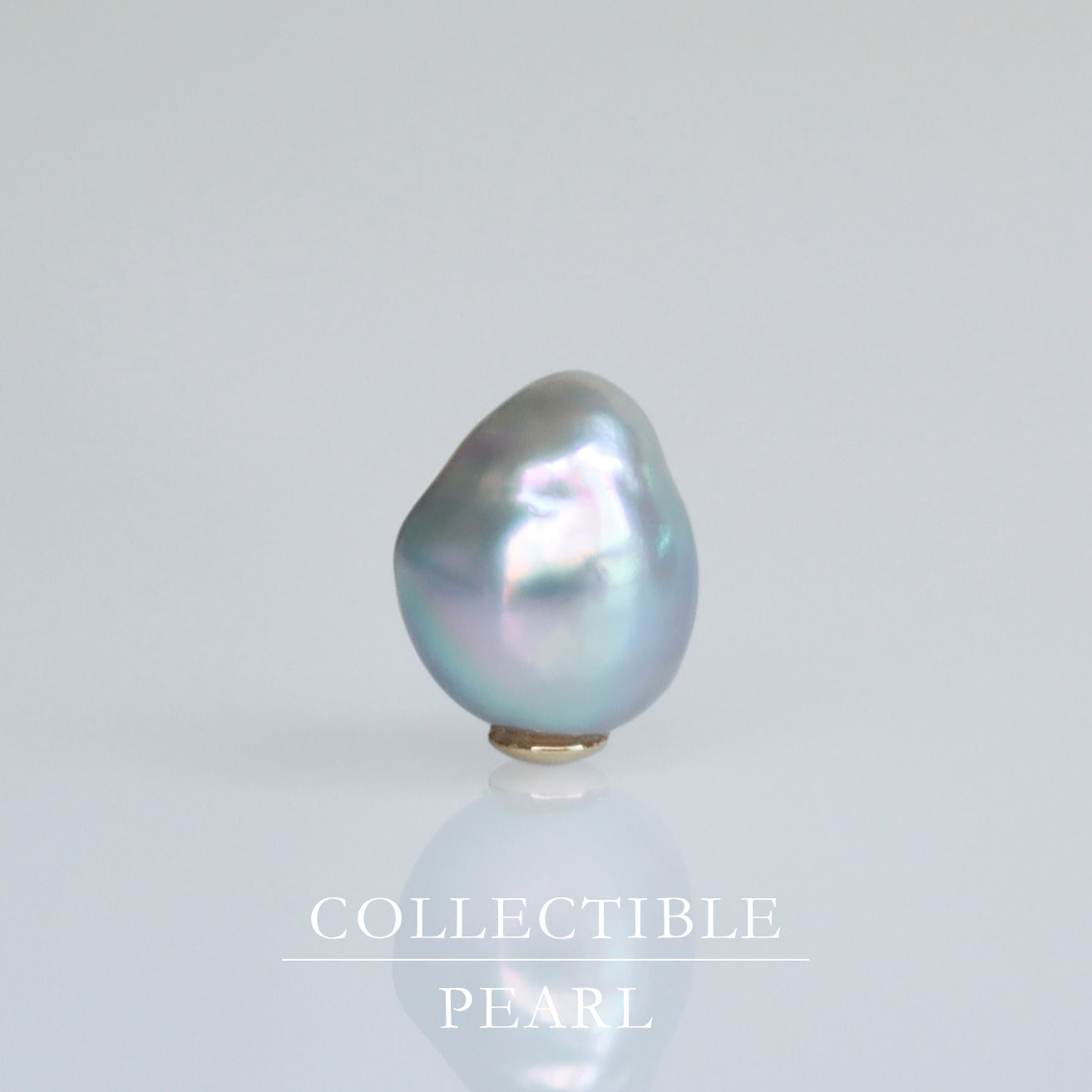 【COLLECTIBLE】"Umihotaru" Akoya Pearl (No. CA5752)