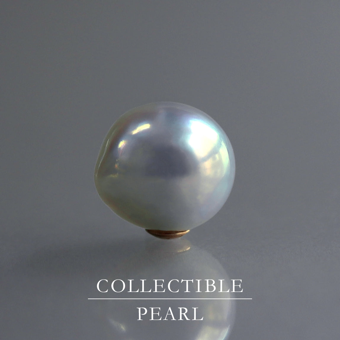 【COLLECTIBLE】"Umihotaru" Akoya Pearl (No. CA5836)