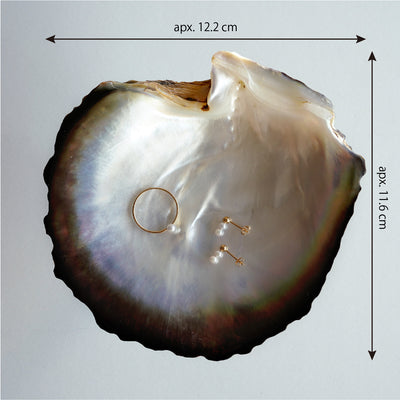 05_Ue_Shell_Size - sCenes