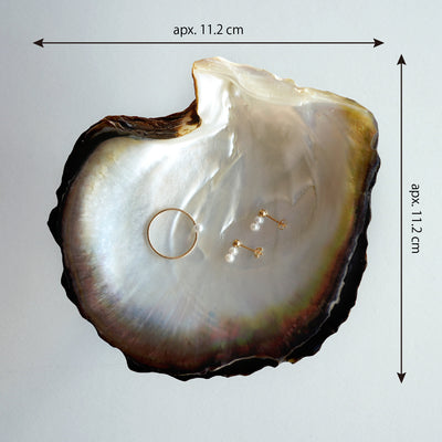 06_Ue_Shell_Size-01 - sCenes