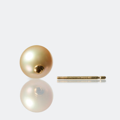 【COLLECTIBLE】Golden South Sea Pearl (No. SG19342)