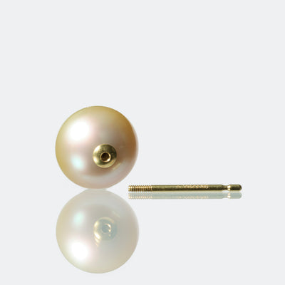 【COLLECTIBLE】Golden South Sea Pearl (No. SG410343)