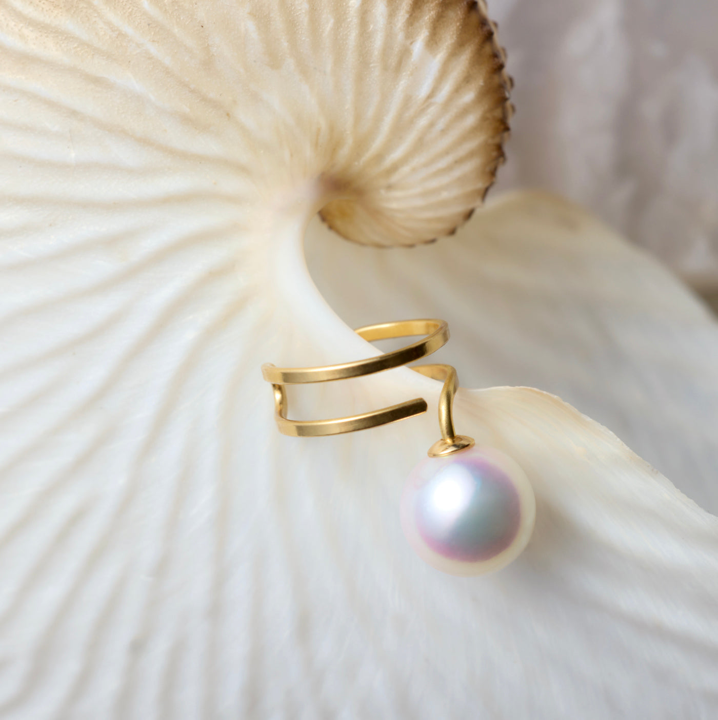 【COLLECTIBLE】Akoya Pearl (No.SA18325)