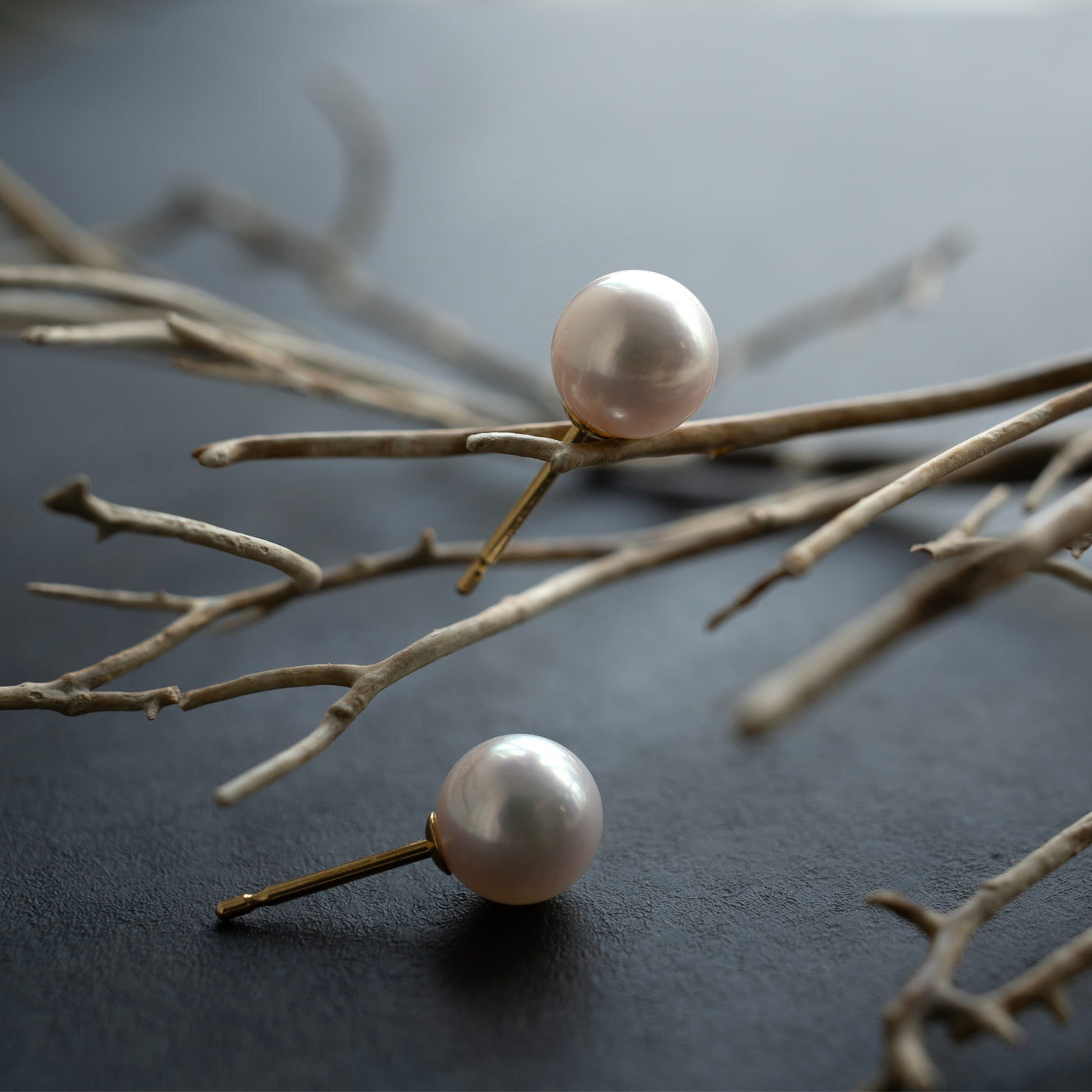 【COLLECTIBLE】Akoya Pearl (No. CA1777)