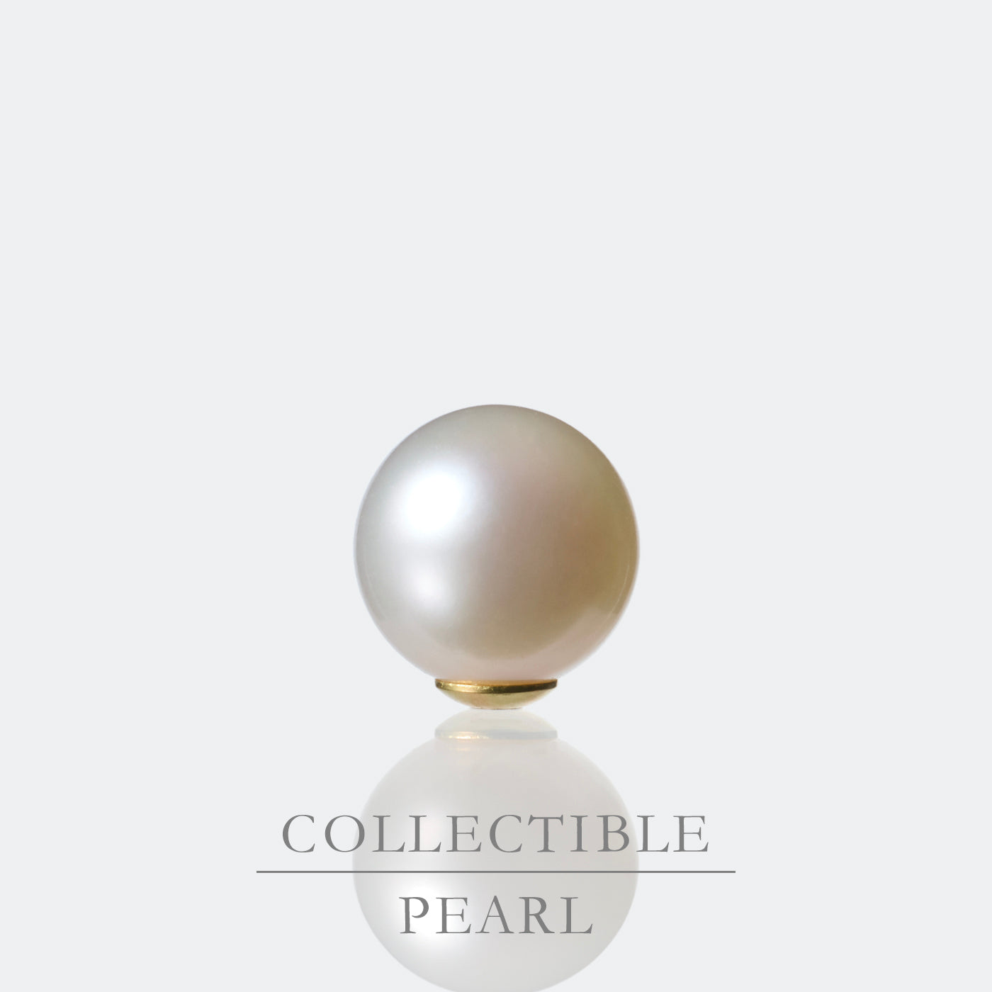 【COLLECTIBLE】Akoya Pearl (No.SA16320)