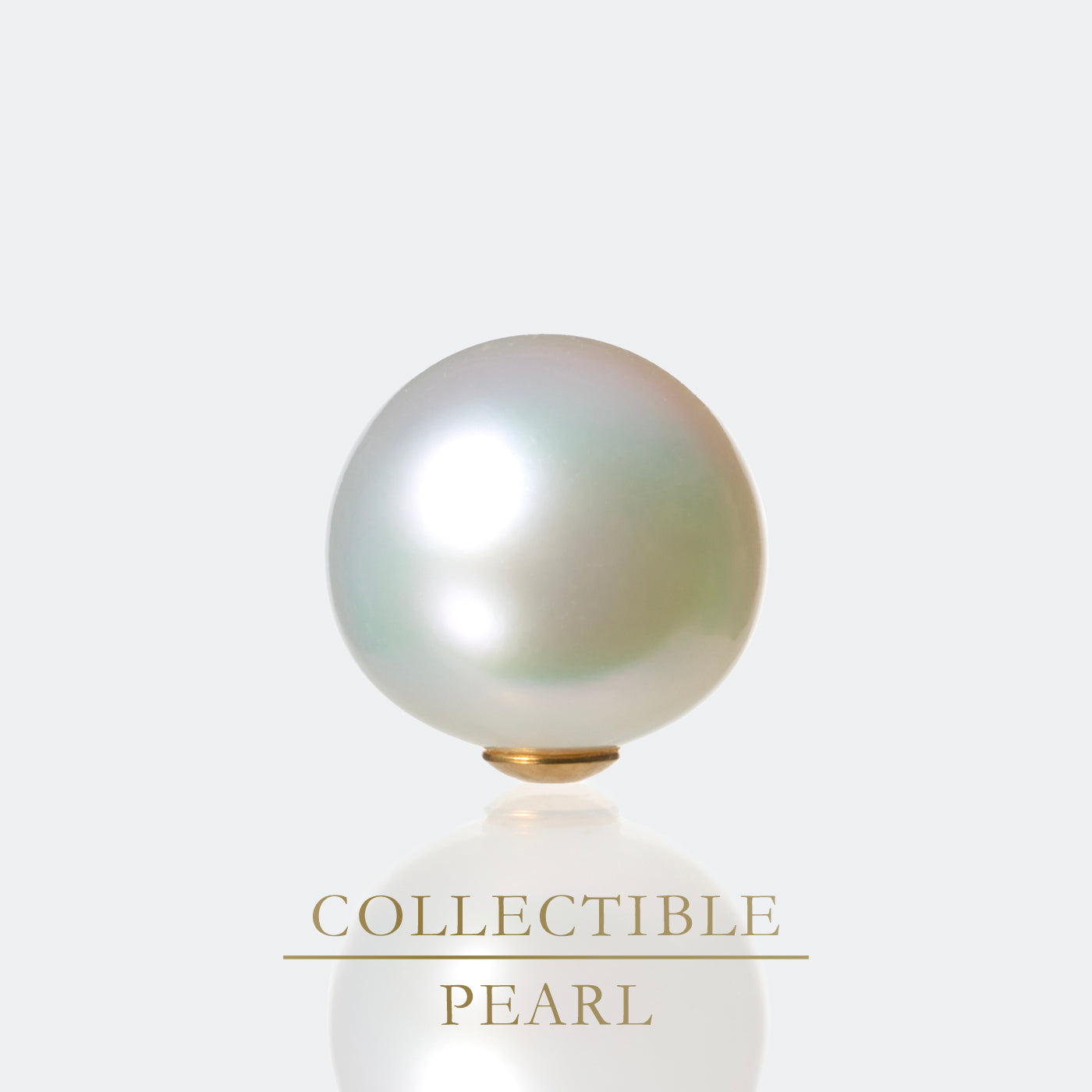 【COLLECTIBLE】South Sea Pearl (No. CS49111)