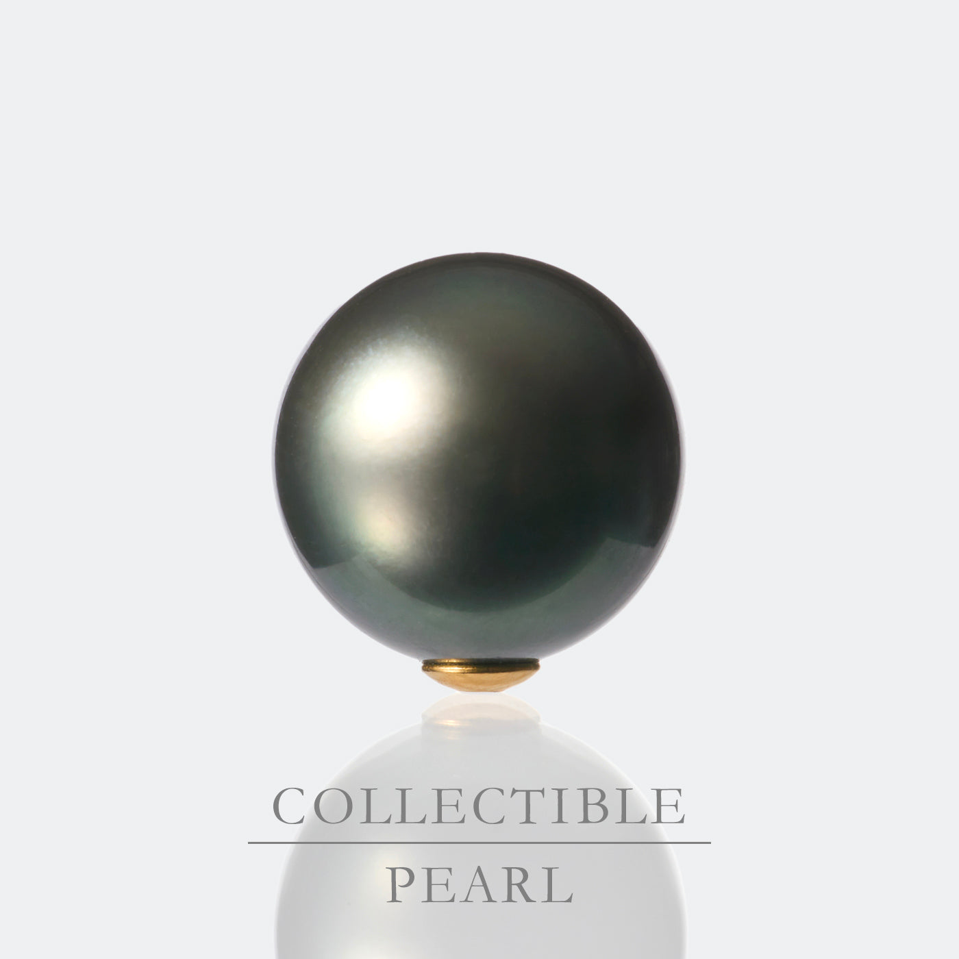 【COLLECTIBLE】Tahitian Pearl (CT11054)