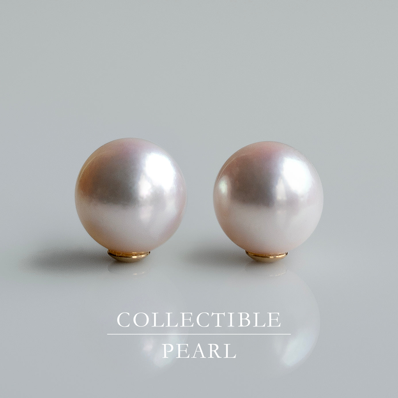 【COLLECTIBLE】Akoya Pearl (No. CA1777)