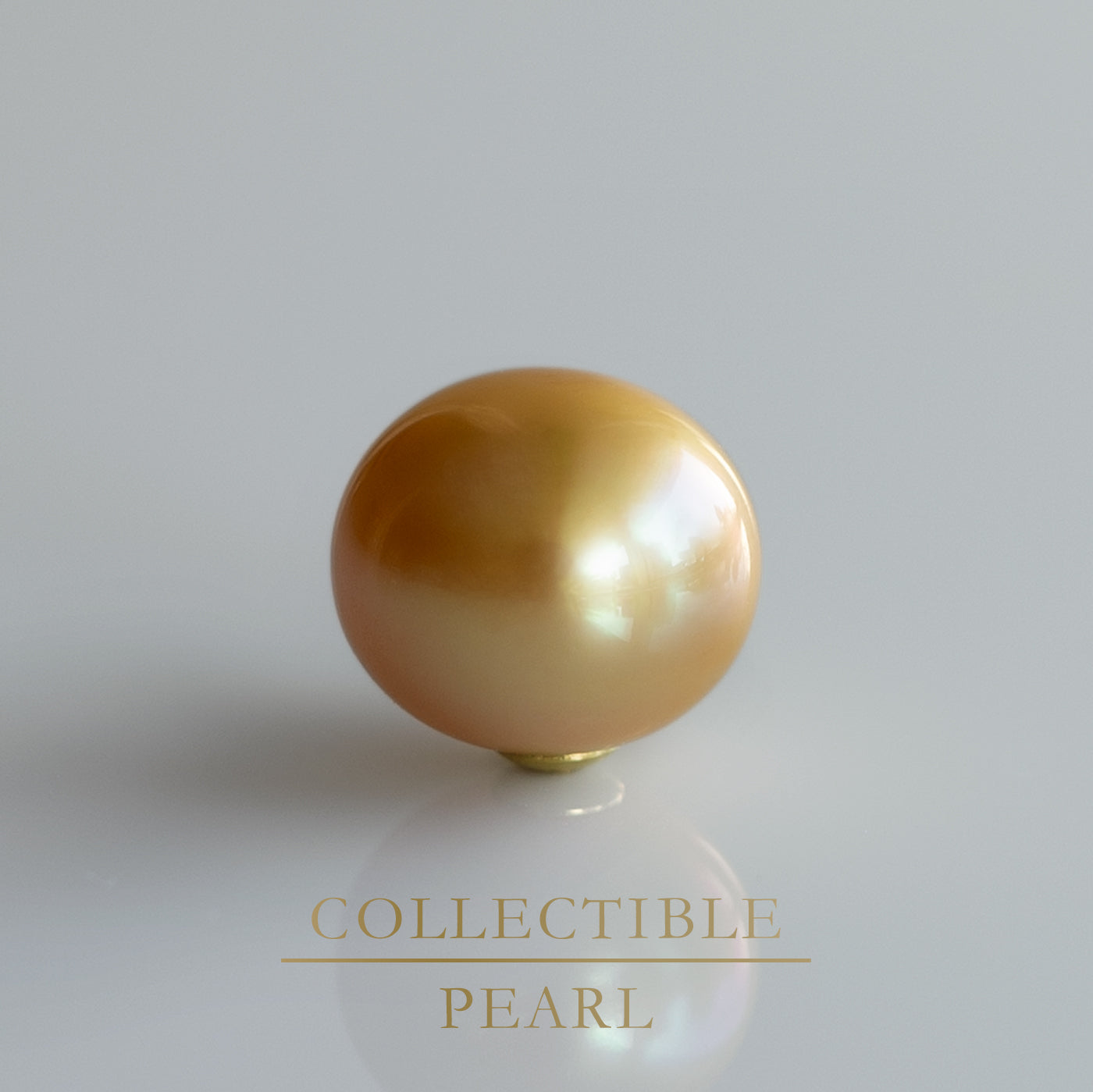 【COLLECTIBLE】Golden South Sea Pearl (No.SG49302)