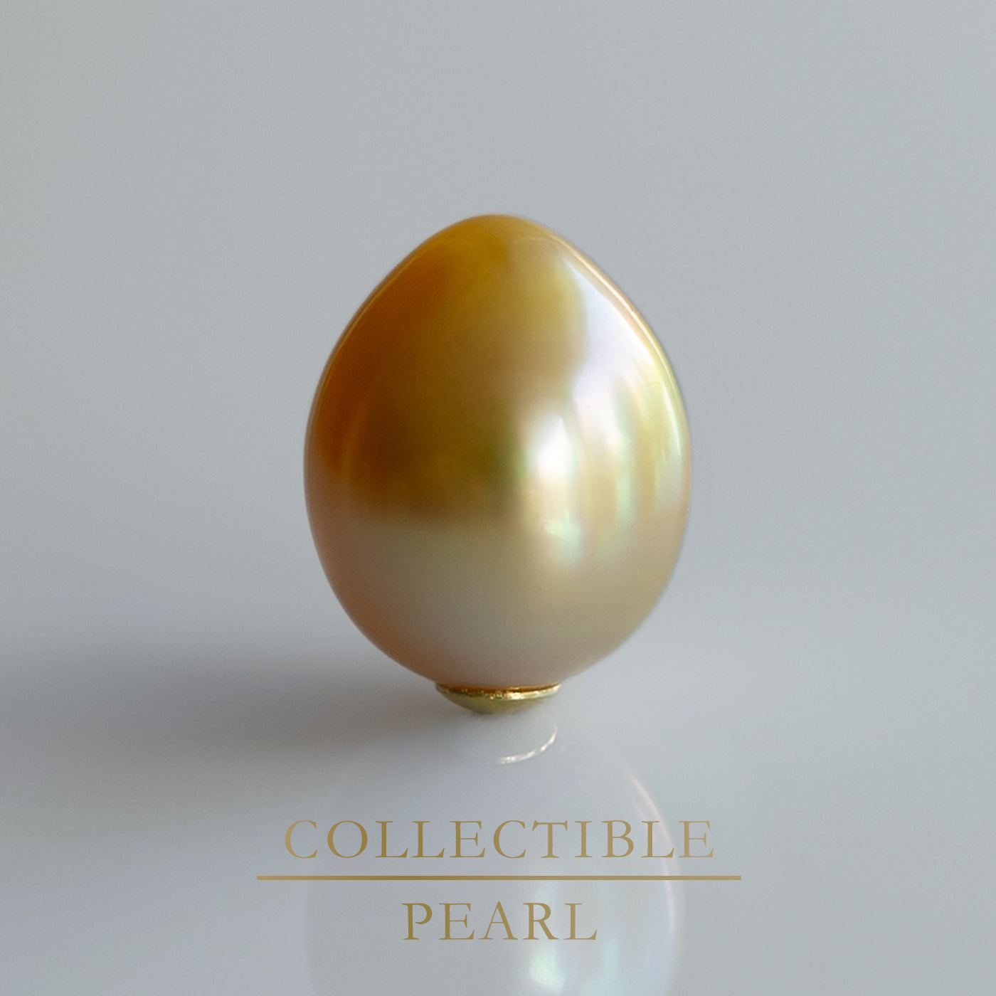 【COLLECTIBLE】Golden South Sea Pearl (No.SG39303)