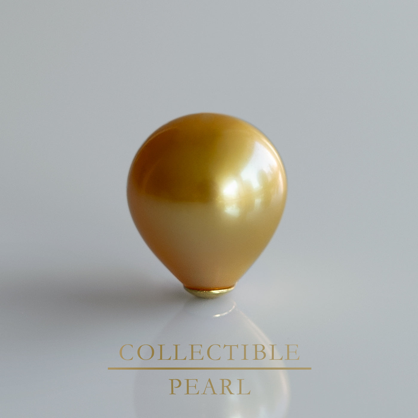 【COLLECTIBLE】Golden South Sea Pearl (No.SG39304)