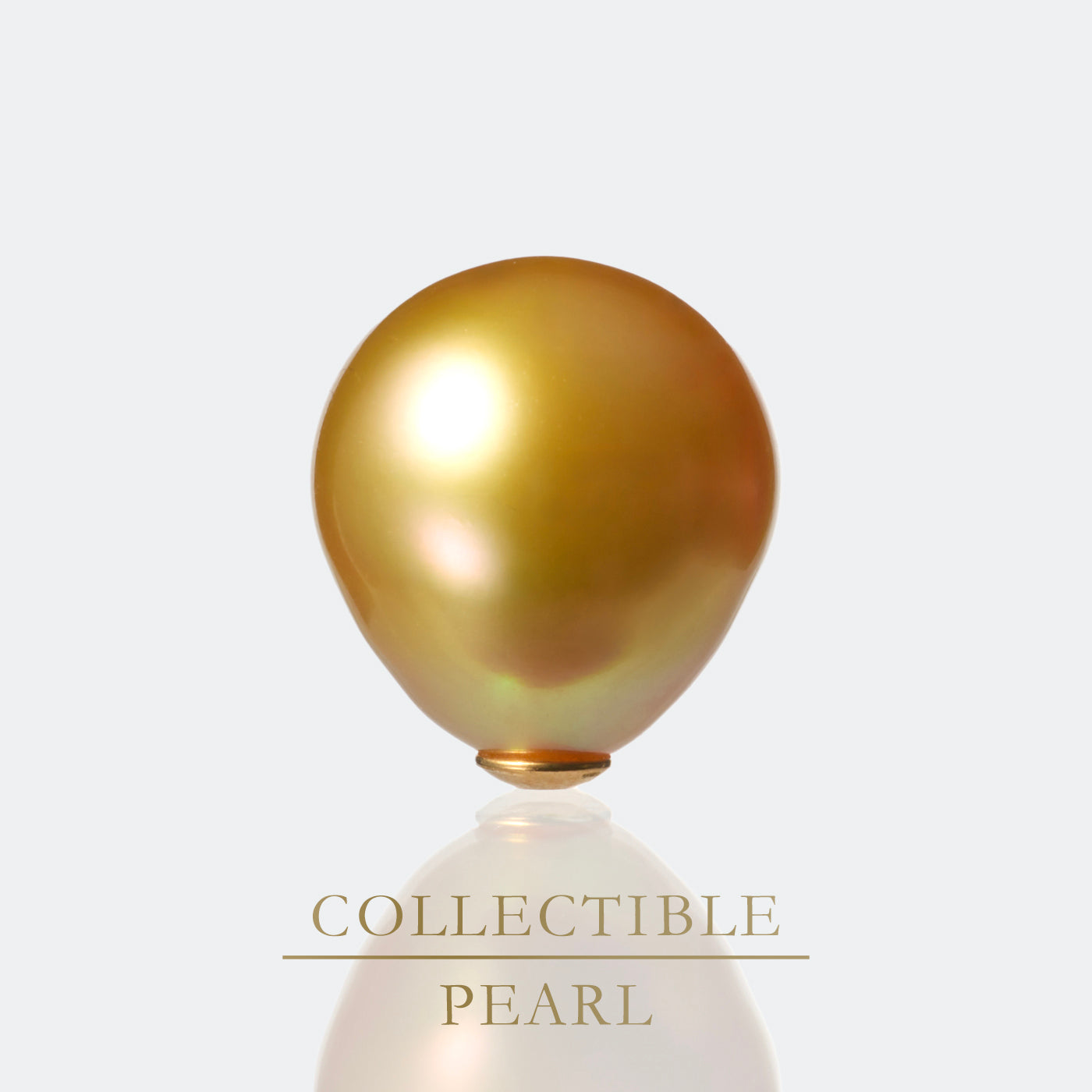 【COLLECTIBLE】Golden South Sea Pearl  (No. CT66109)
