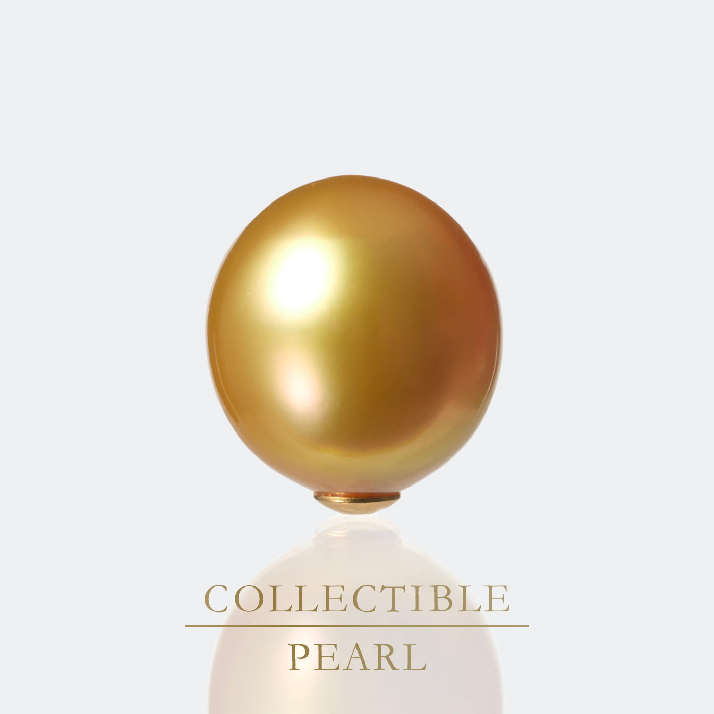 【COLLECTIBLE】Golden South Sea Pearl  (No. CT66109)