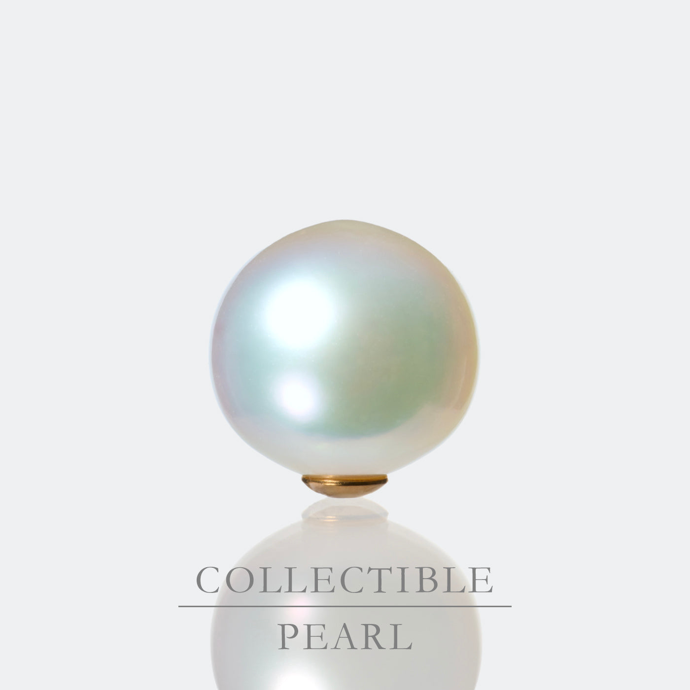 【COLLECTIBLE】South Sea Pearl (No. CS49111)