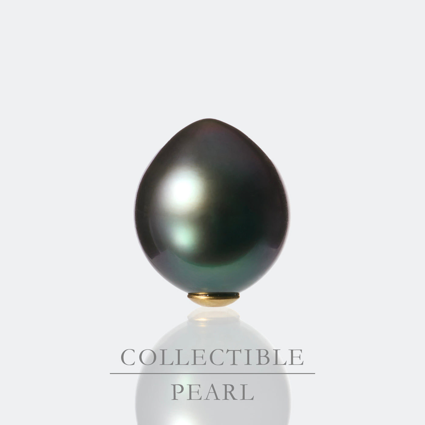 【COLLECTIBLE】Tahitian Pearl (No. ST38284)