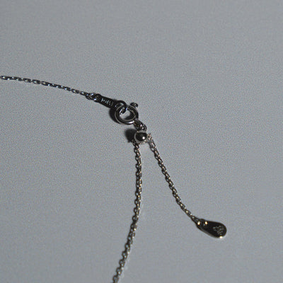 Pt850_Chain-tomegu_DSC04142_1x1_50890606-cb20-4add-a4e9-efe5c2ebafee - sCenes