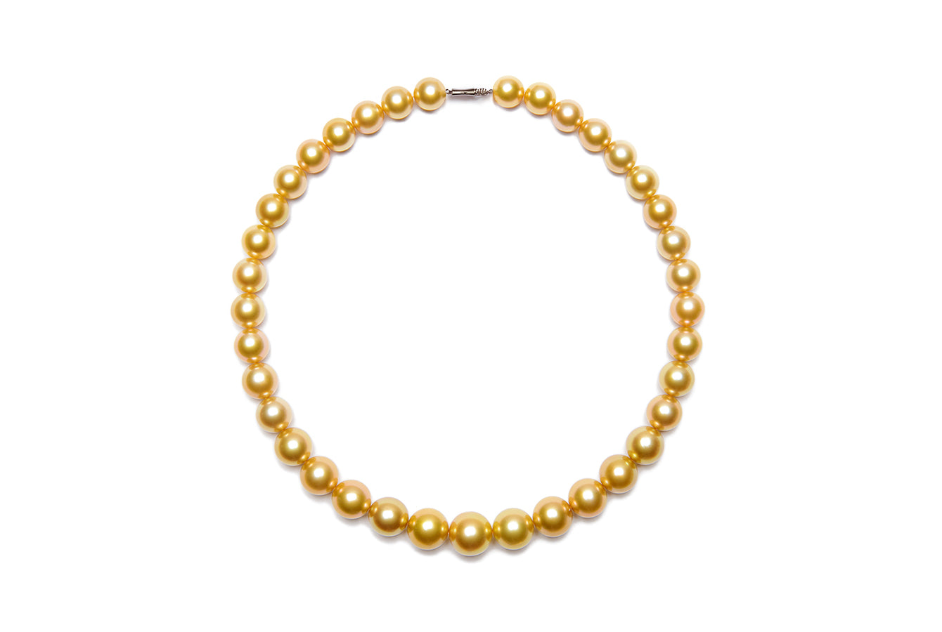 Golden South Sea Pearls